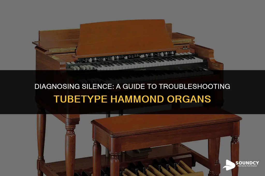 how to troubleshoot a tubetype hammond organ without sound