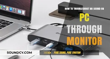 Silent PC? Here's How to Troubleshoot No Sound Through Your Monitor