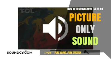 TCL TV Troubleshooting: Sound But No Picture - Quick Fixes