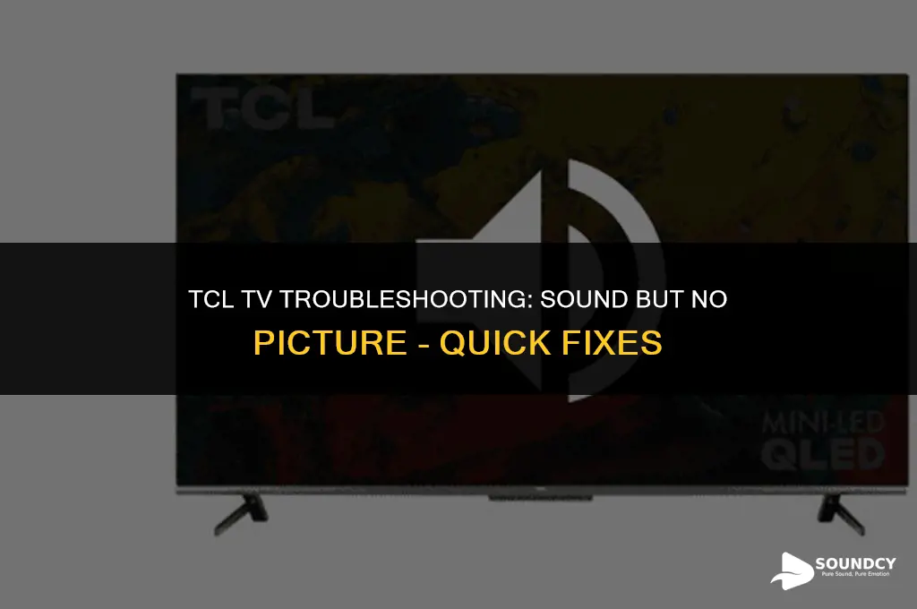 how to troubleshoot tcl tv no picture only sound