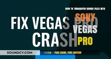 Importing Audio Files into Sony Vegas Pro: A Step-by-Step Guide