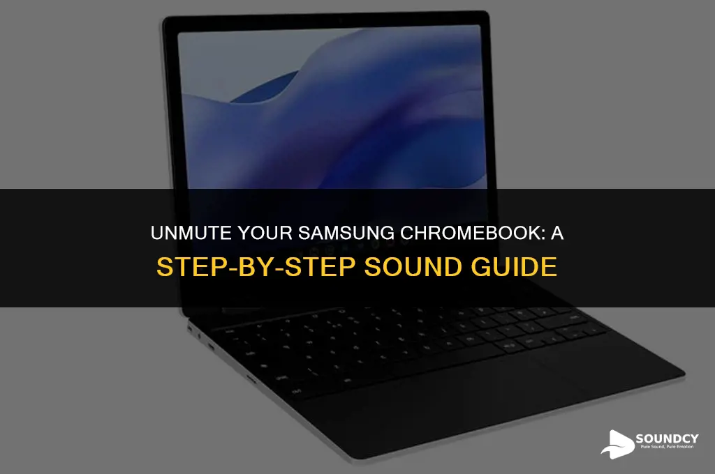 how to tun on sound on samsung chrome book
