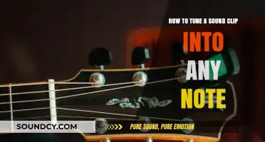 Harmonize Any Sound Clip: A Guide to Musical Tuning