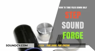 Mastering the Art of Tuning Files Down a Half Step in Sound Forge