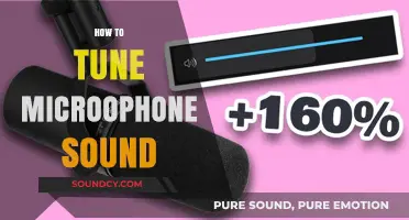 Mastering Microphone Sound: Essential Tuning Tips for Clear Audio