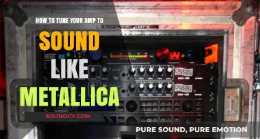 Mastering the Metallica Tone: A Guide to Amp Tuning