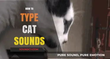 Mastering Cat Sounds: A Fun Guide to Typing Meows and Purrs