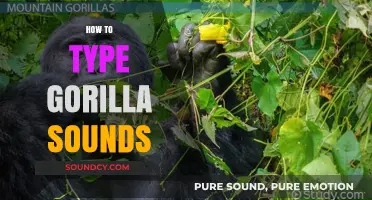 Mastering Gorilla Sounds: A Step-by-Step Typing Guide for Enthusiasts