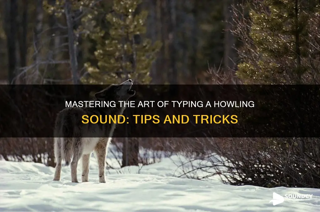 how to type howling sound