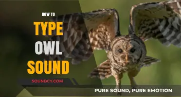 Mastering the Art of Typing Owl Sounds: A Step-by-Step Guide