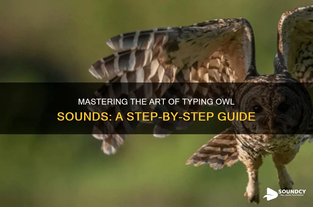 how to type owl sound