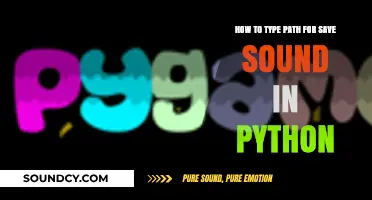Efficiently Saving Sound Files in Python: A Path Guide