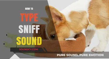 Mastering the Art of Typing Sniff Sounds: Tips and Techniques