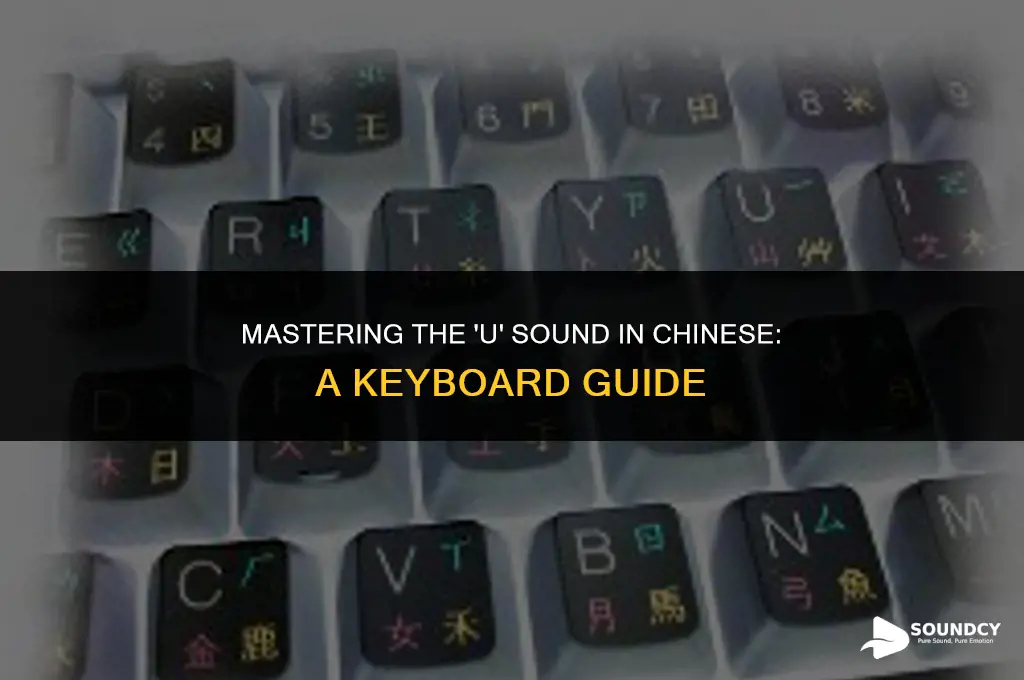 how to type the u chinese sound on keyboard