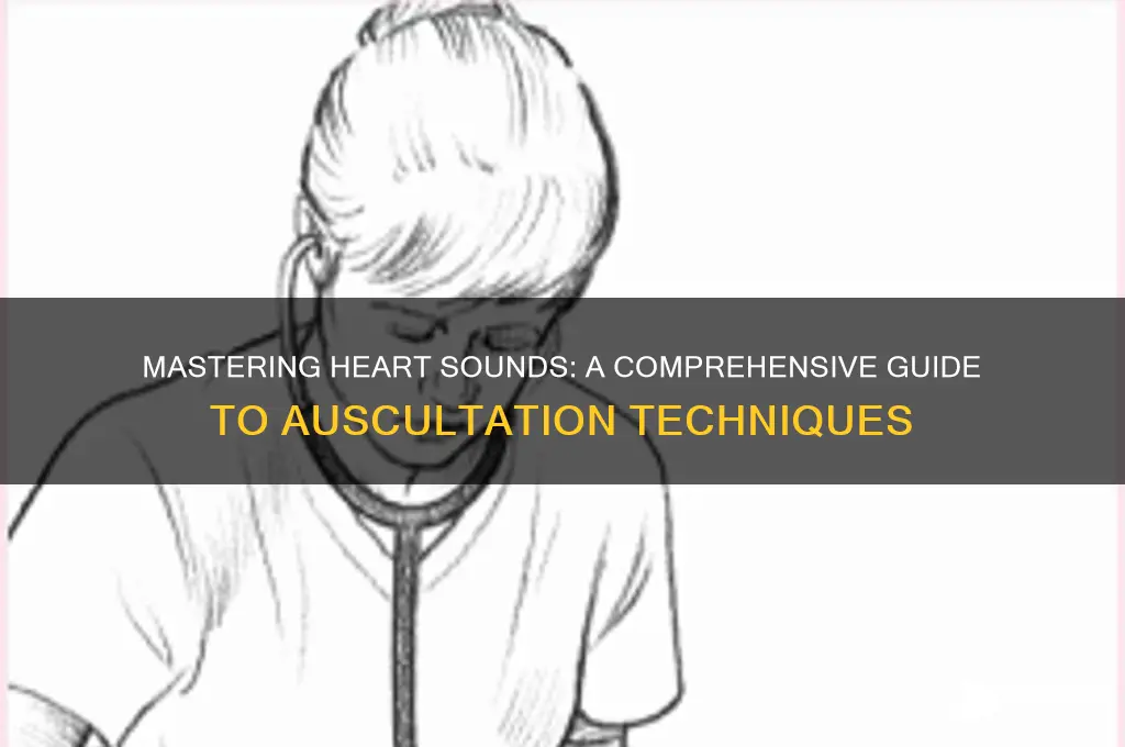 how to understand heart sounds