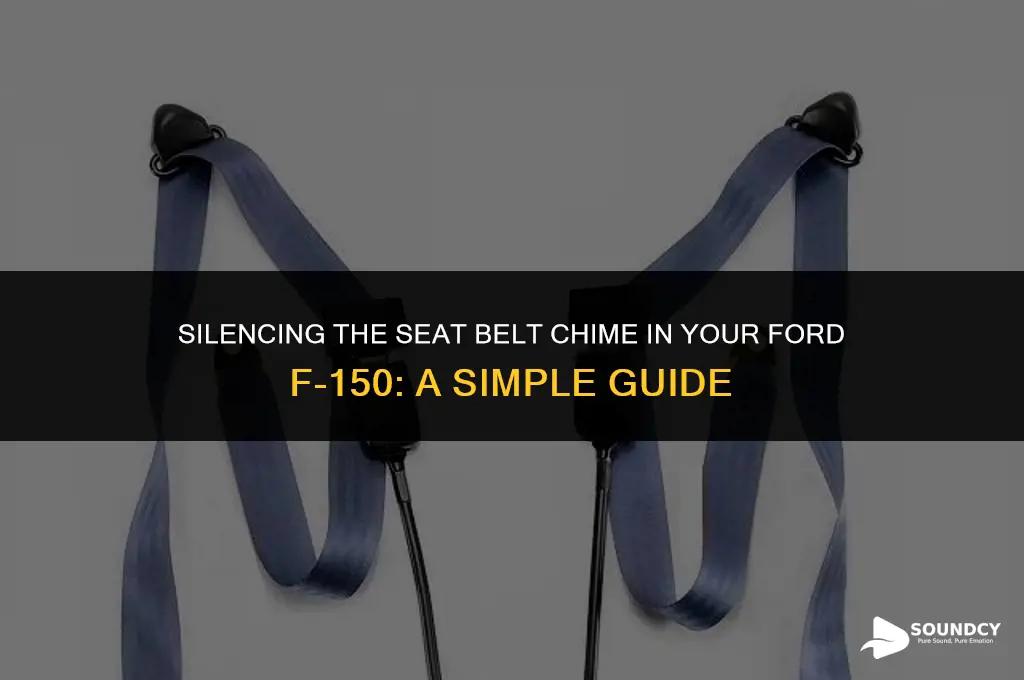 how to undo seat belt sound in ford f150