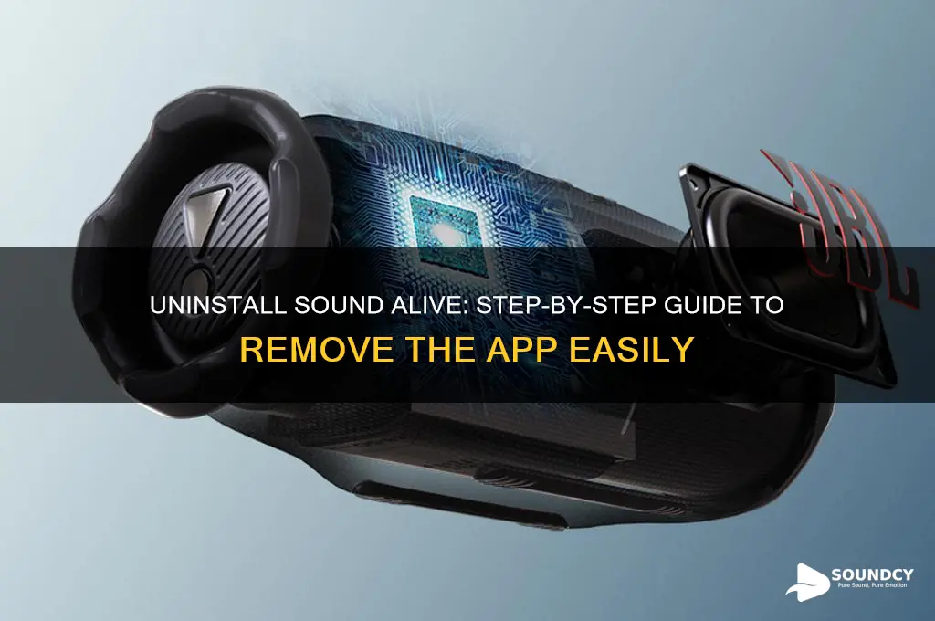 how to uninstall sound alive