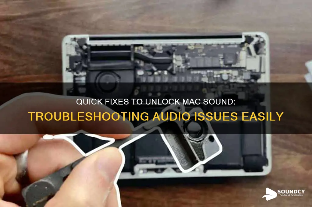 how to unlock mac sound