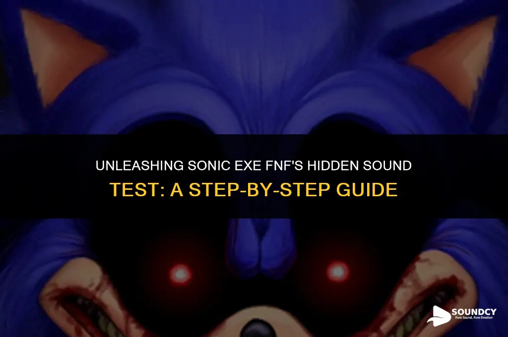 how to unlock sound test in sonic exe fnf