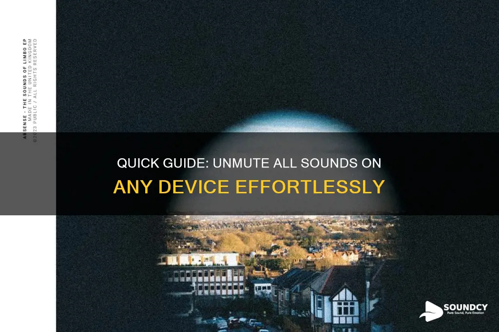 how to unmute all sounds