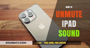 Quick Fix: Unmute iPad Sound in Simple Steps