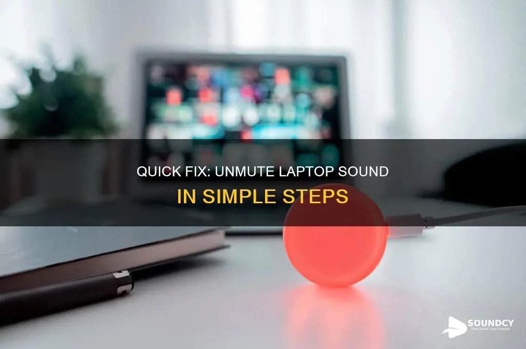 how to unmute laptop sound