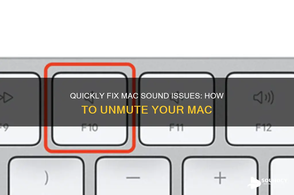 how to unmute mac sound