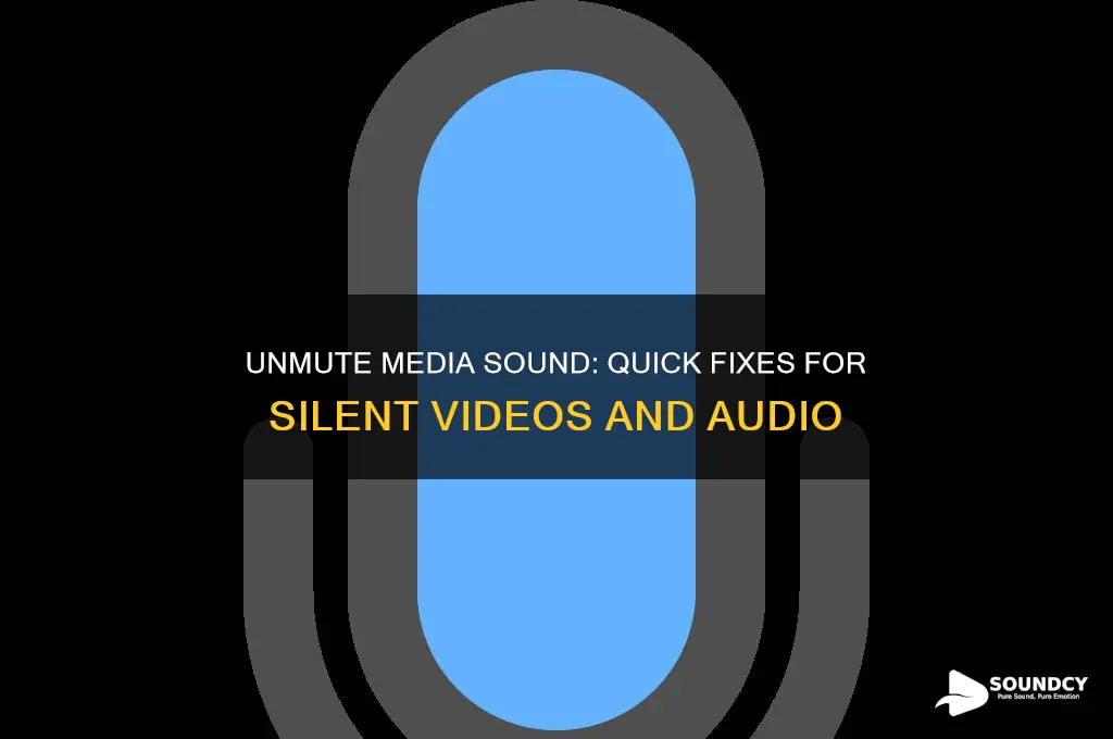 how to unmute media sound