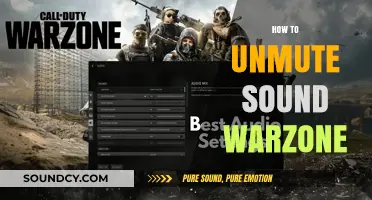 Unmute Warzone Sound: Quick Fixes for Audio Issues in the Game