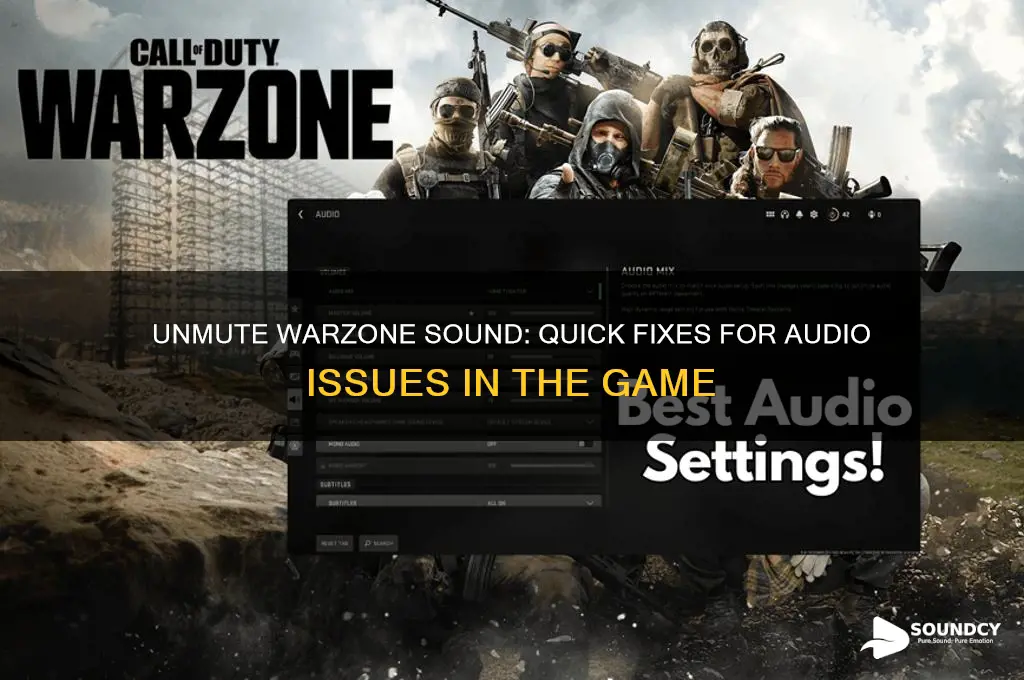 how to unmute sound warzone