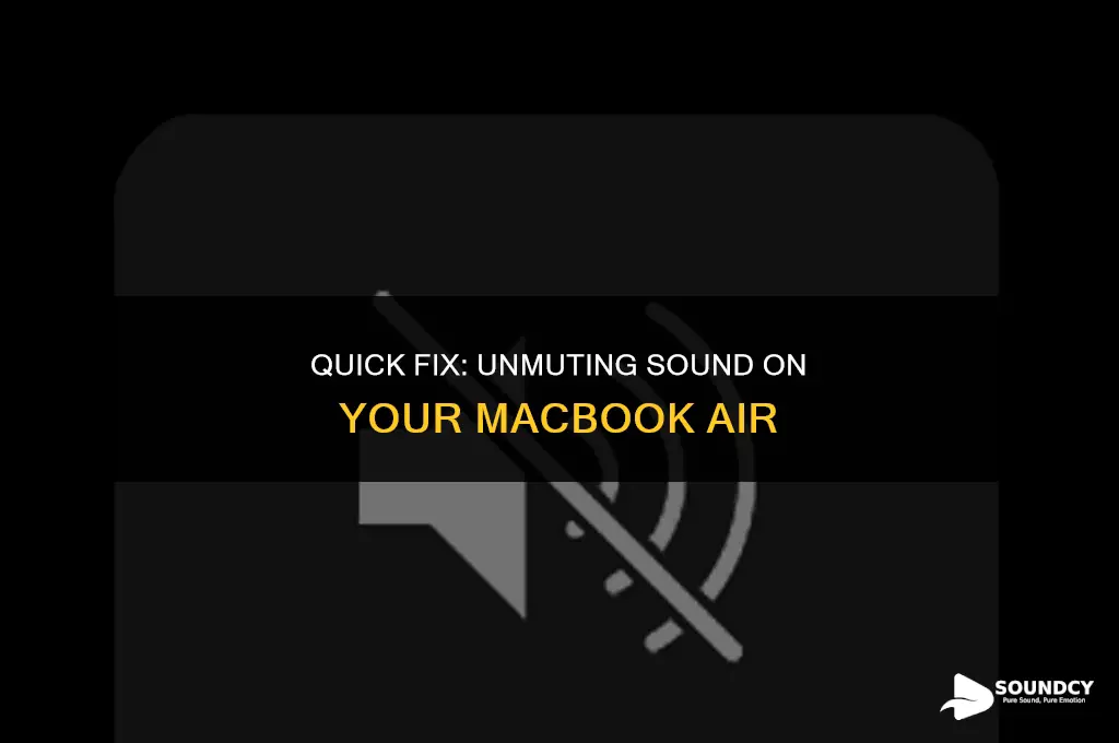 how to unmute the sound on a macbook air
