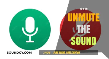 Quick Guide to Unmuting Sound on Any Device or Platform