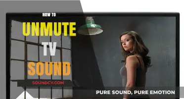 Quick Fix: Unmute Your TV Sound in Simple Steps