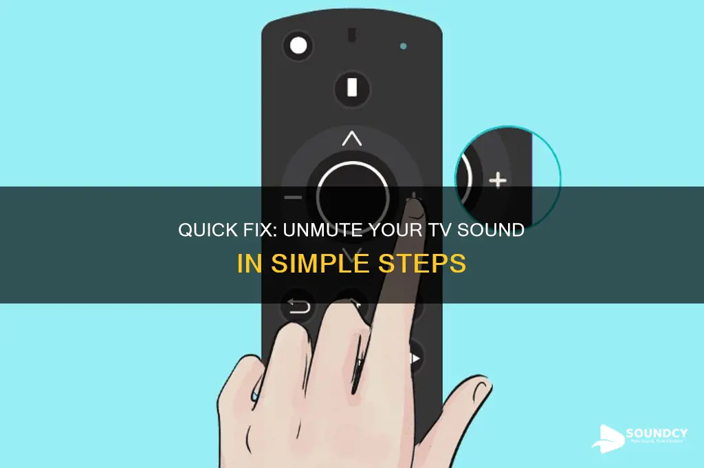 how to unmute tv sound