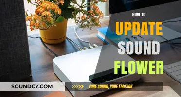 Easy Guide to Updating Sound Flower for Optimal Audio Performance