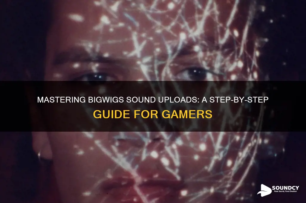 how to upload bigwigs sounds