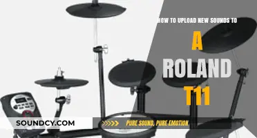 Exploring Sonic Possibilities: Uploading New Sounds to Your Roland T11