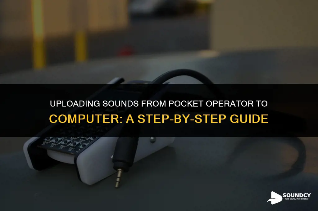 how to upload sounds from pocket operator to computer