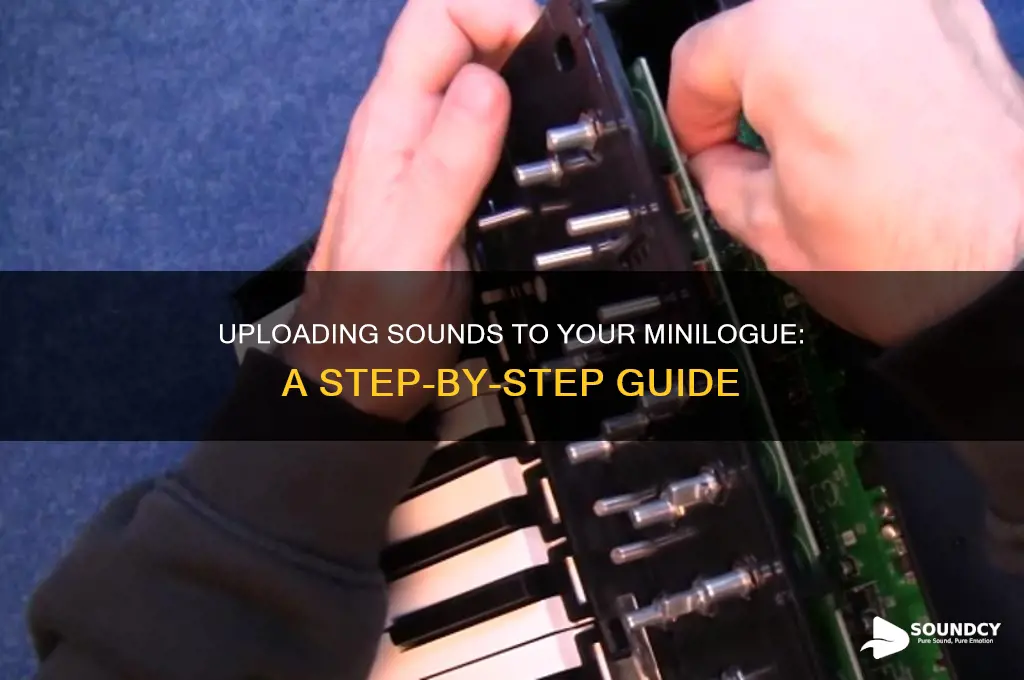 how to upload sounds minilogue