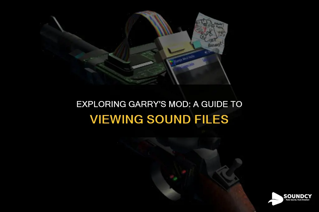 how to view sound files in garry