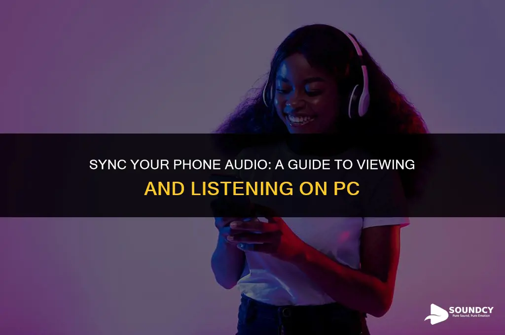 how to view your phone on your pc sound
