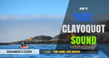 Exploring Clayoquot Sound: A Comprehensive Guide to Planning Your Visit