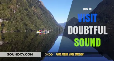Exploring Doubtful Sound: A Complete Guide to Visiting New Zealand's Hidden Gem