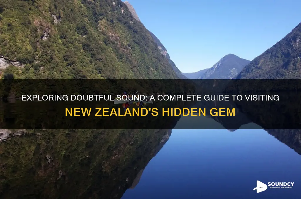 how to visit doubtful sound