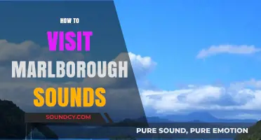 Exploring Marlborough Sounds: A Comprehensive Guide to Your Perfect Visit