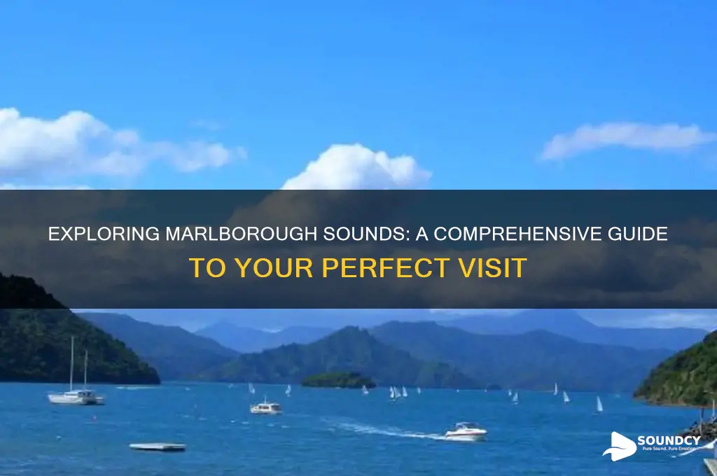 how to visit marlborough sounds