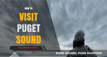 Exploring Puget Sound: A Comprehensive Guide to Visiting the Region