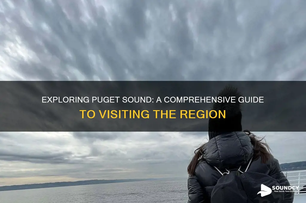 how to visit puget sound