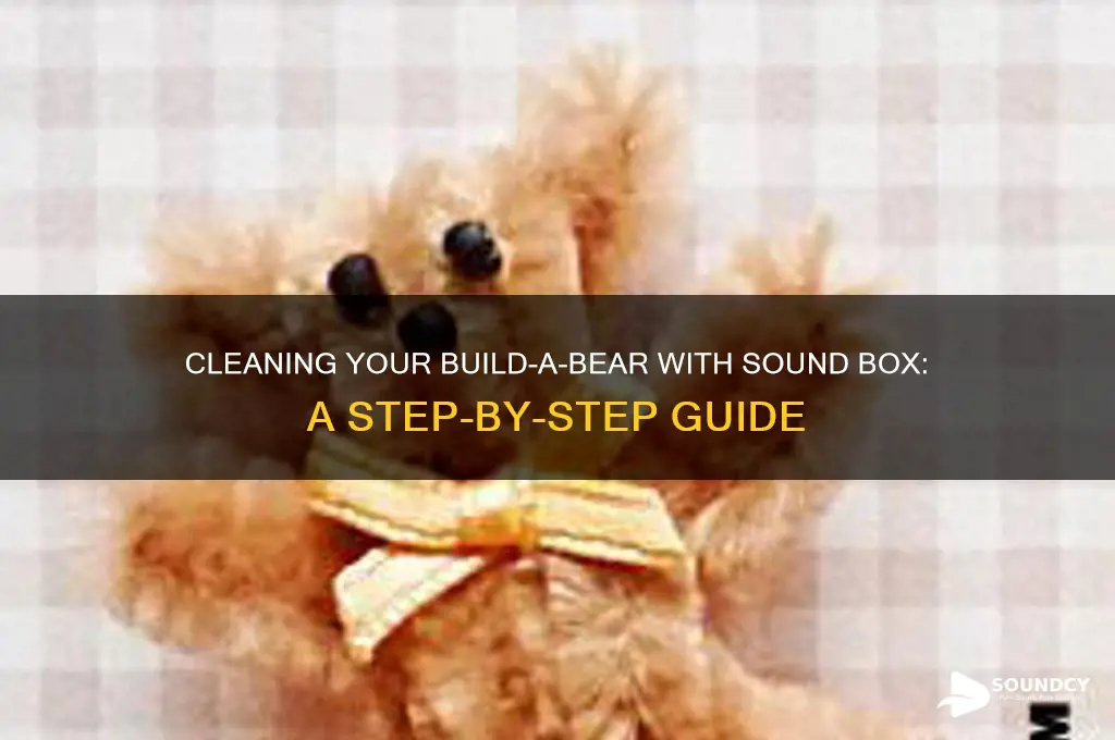 how to wash build a bear with sound box