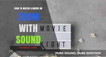 Syncing Up: A Guide to Watching Movies on Zoom with Perfect Sound